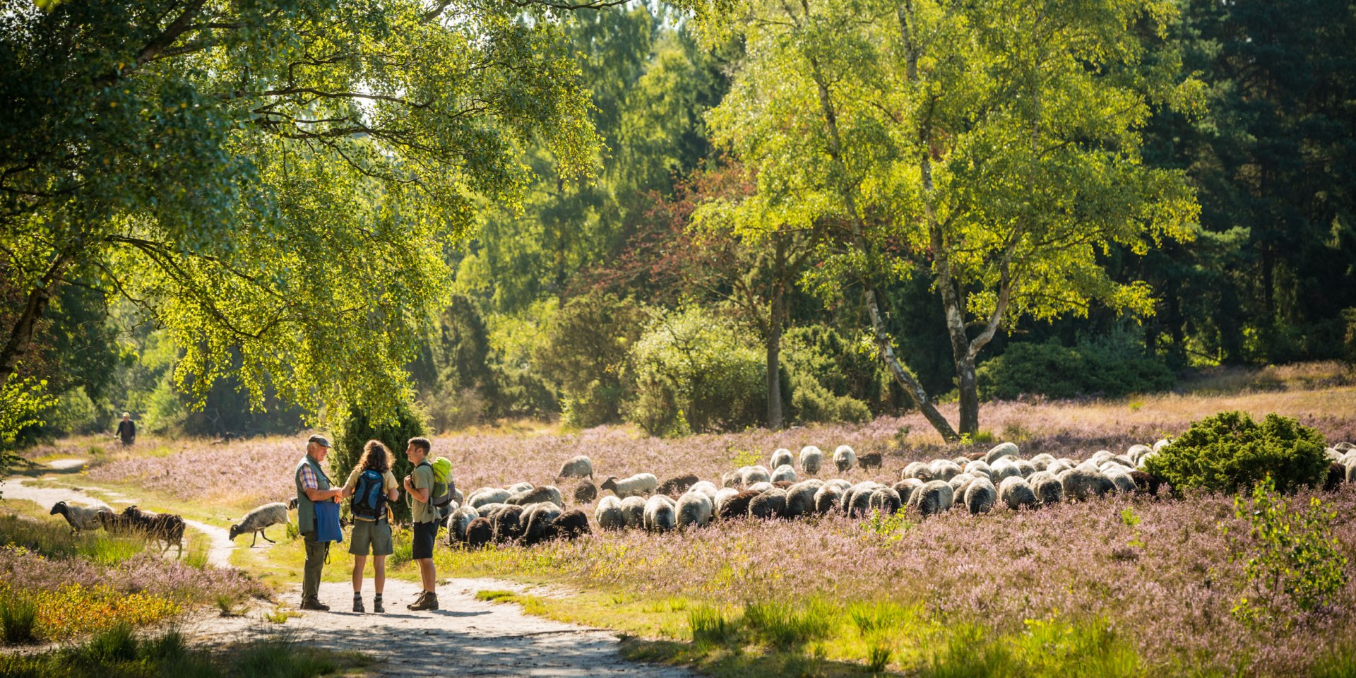 Wandelaars ontmoeten een herder in de Lüneburger Heide, © Lüneburger Heide GmbH / Dominik Ketz