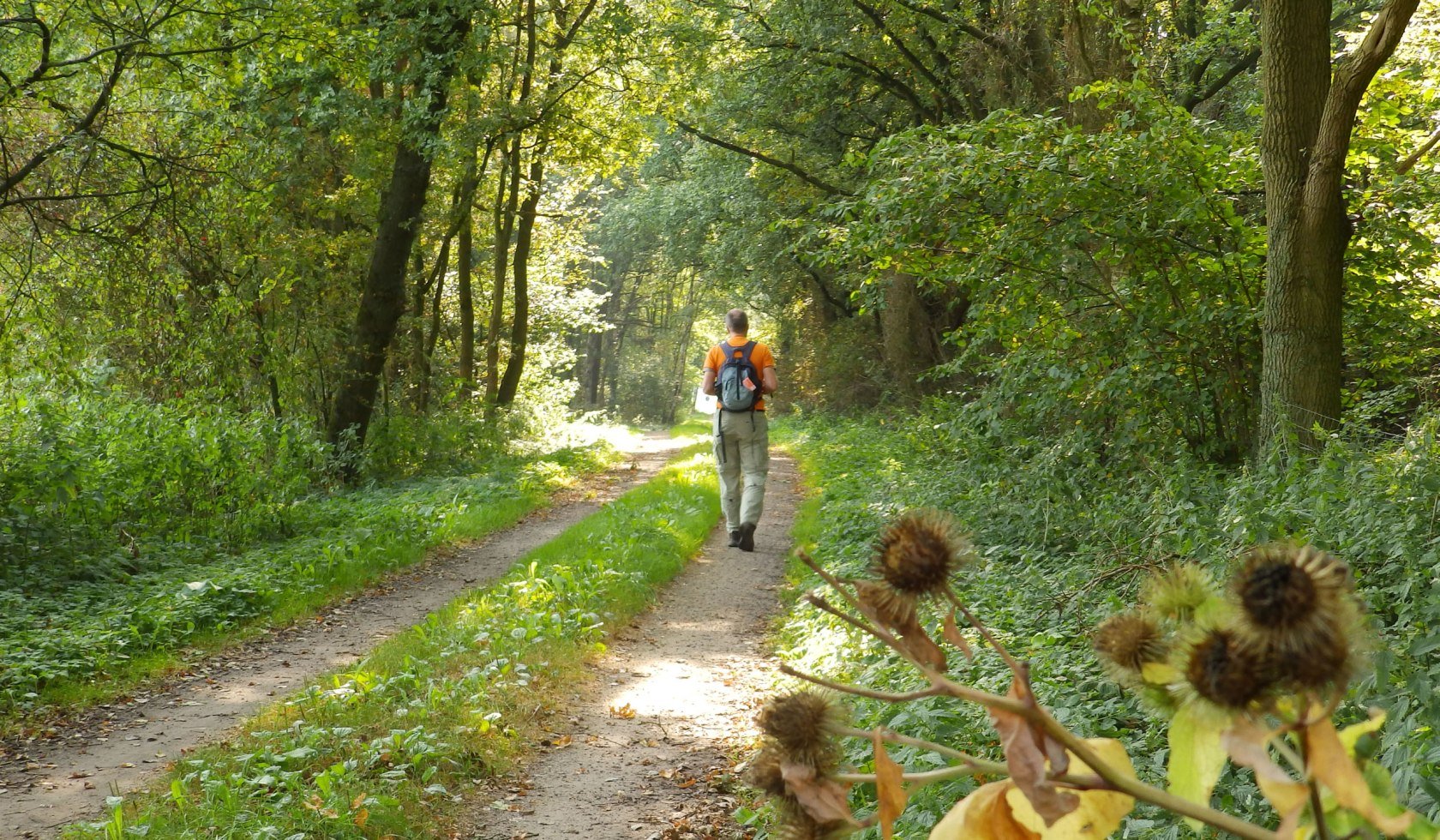 Wanderer auf dem Nordpfad, © touristikverband Landkreis Rotenburg (Wümme)