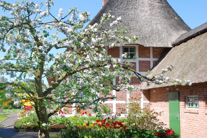 Rieten huis in Cuxland, © Cuxland-Tourismus / Bernd Schlüsselburg