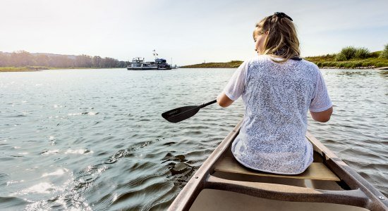 Vrouwenkanoën op de Elbe