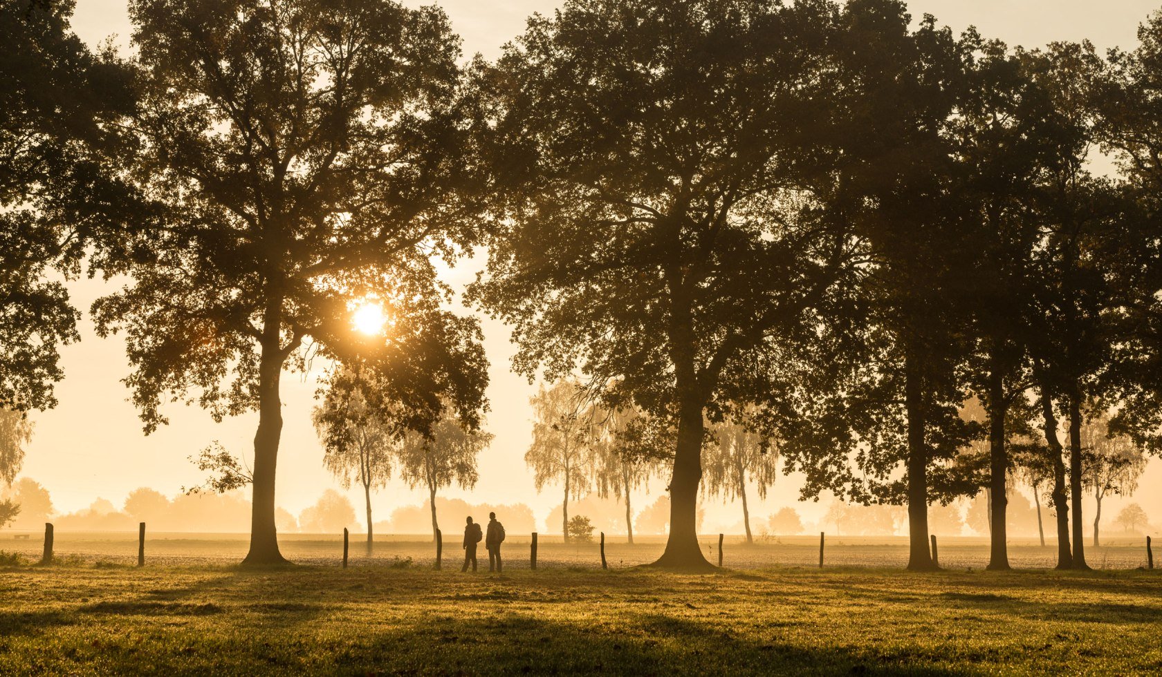 Wandelaar in de zonsondergang in een weg in Haußelberg, © Lüneburger Heider GmbH/ Dominik Ketz