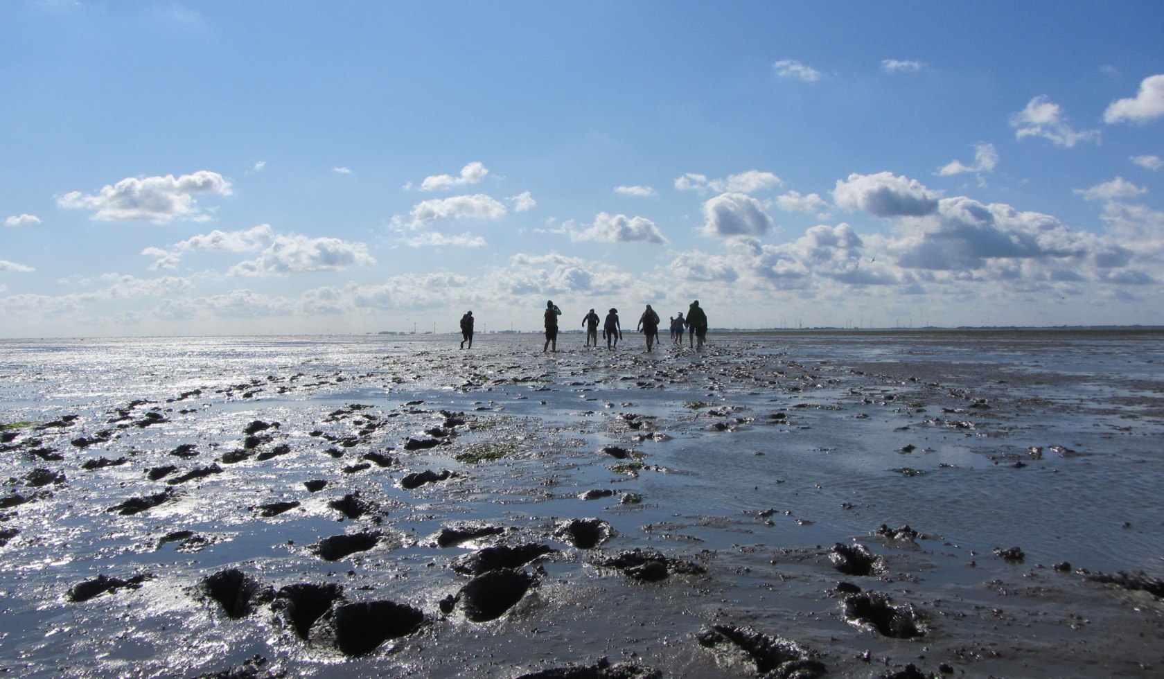 Wadlopen, © Naturerlebnis Langeoog / Joke Pouliart