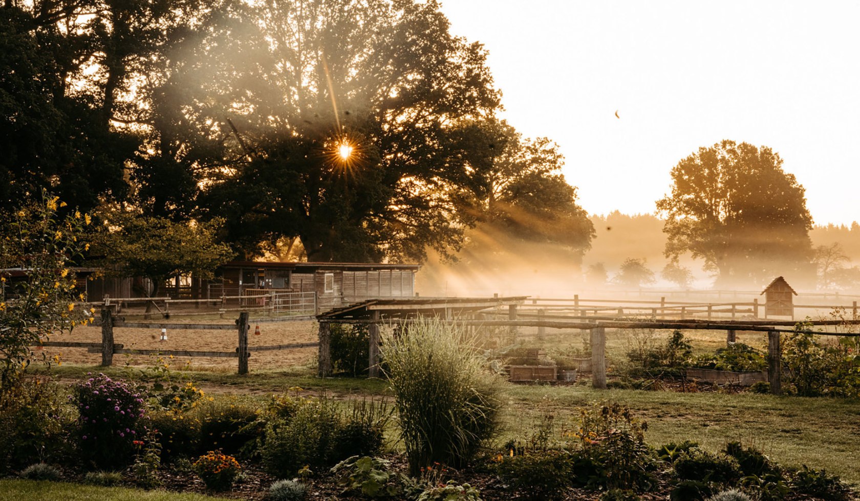 LandhotelAverbeck_herfst-indrukken, © Landhaus Averbeck