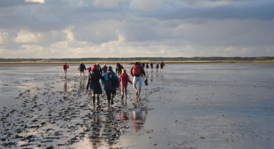 Langeoog NL, © Wattwanderzentrum Ostfriesland / Joke Pouliart