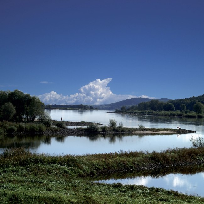 Elbe bij Neu Darchau, © Flusslandschaft Elbe GmbH/ Sabine Kulau, Nahrendorf