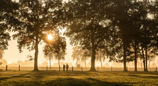 Wandelaar in de zonsondergang in een weg in Haußelberg, © Lüneburger Heider GmbH/ Dominik Ketz