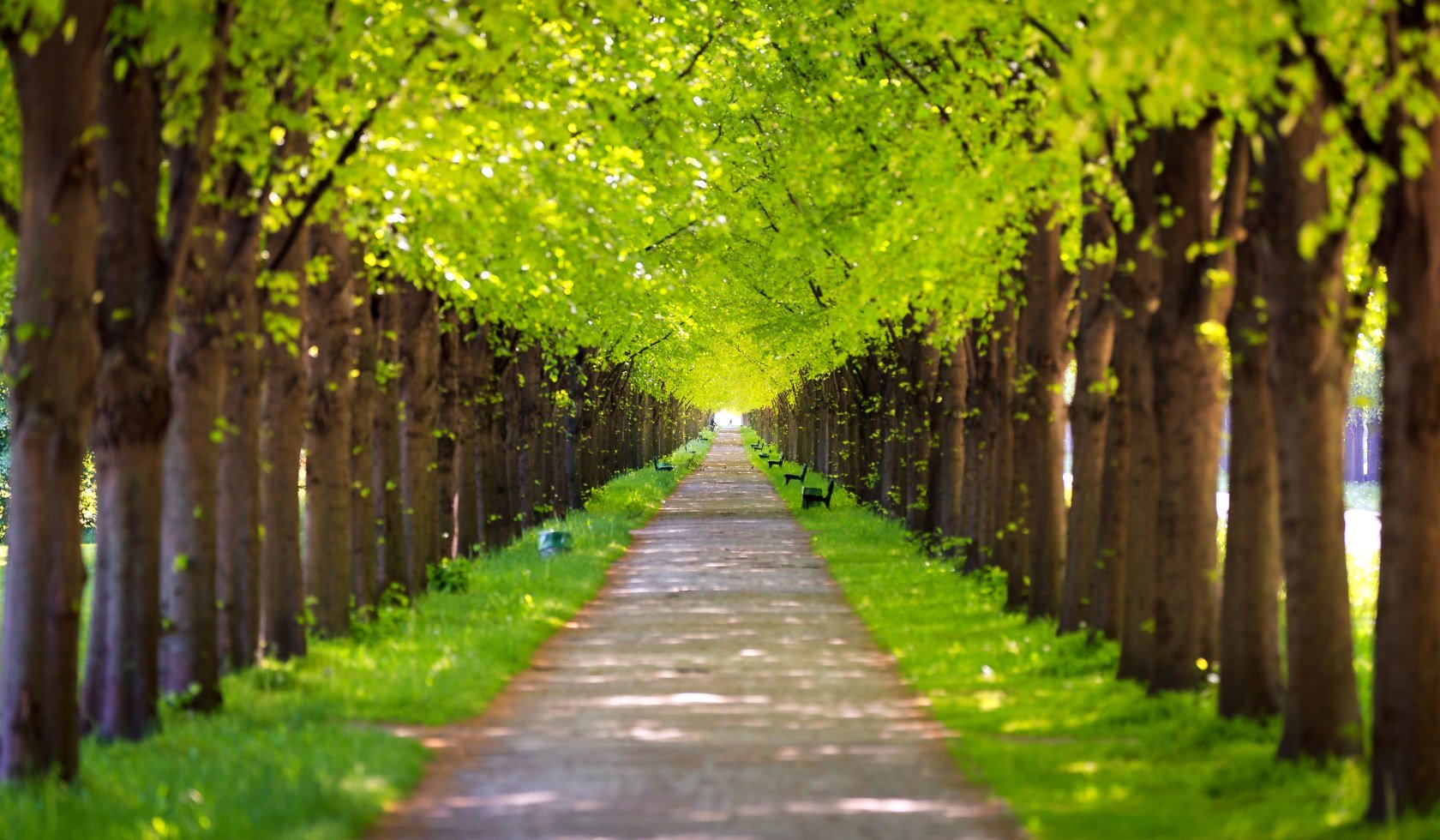 Laan in de Georgengarten Hannover, © Lars Gerhardts