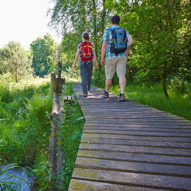 Wandelen in de provincie Bentheim NL, © Grafschaft Bentheim / Schubert