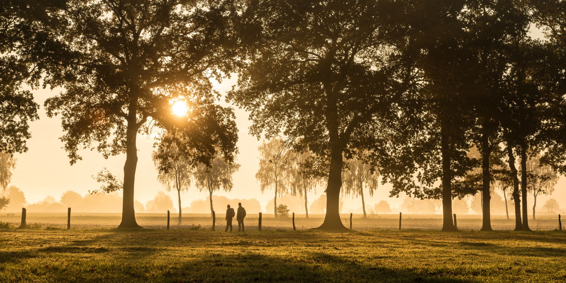Wandelaar in de zonsondergang in een weg in Haußelberg, © Lüneburger Heider GmbH/ Dominik Ketz
