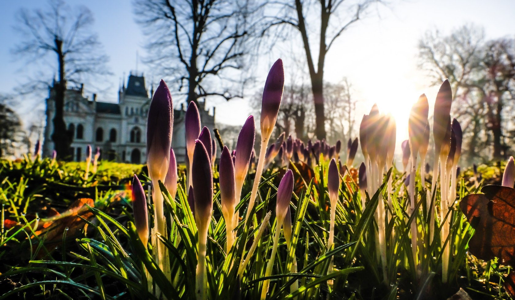 Evenburg in Leer, © Stadt Leer / L. Klemmer