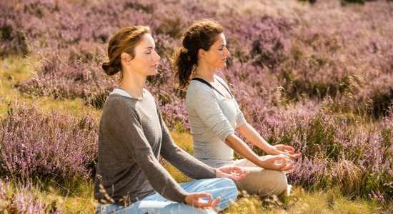 Twee vrouwen die yoga doen in de bloeiende Lüneburger Heide, © Lüneburger Heide GmbH / Dominik Ketz