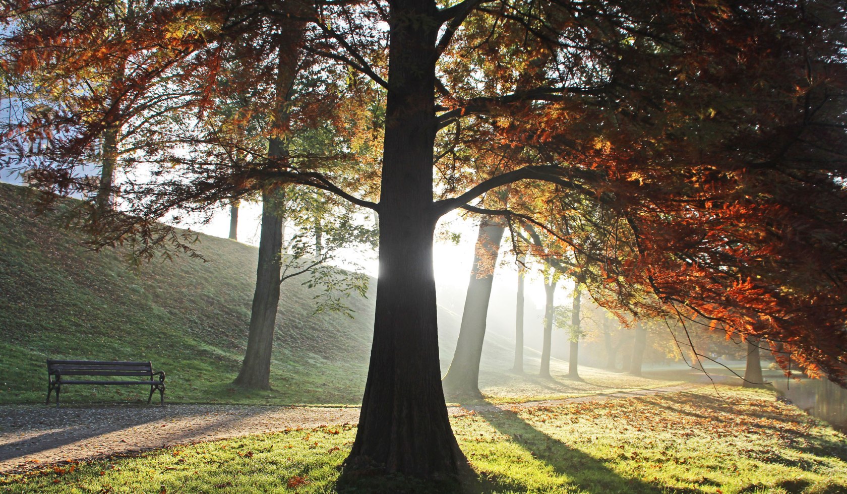 Kasteel in de herfst, © Celle Tourismus und Marketing GmbH/ K. Behre