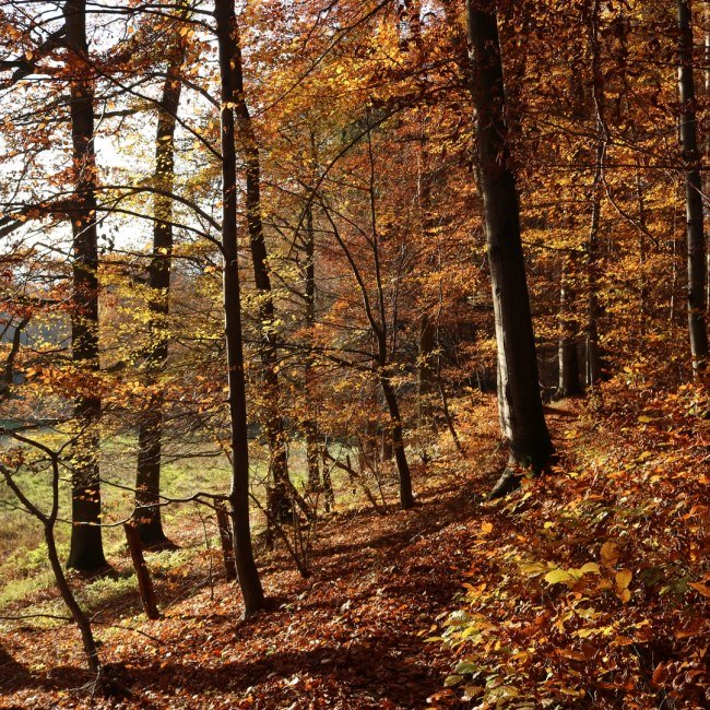 Waltersbachtal, © GeTour GmbH