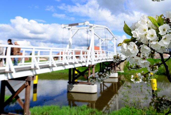 altes Land, © Tourismusverband Landkreis Stade/Elbe e.V./ Martin Elsen