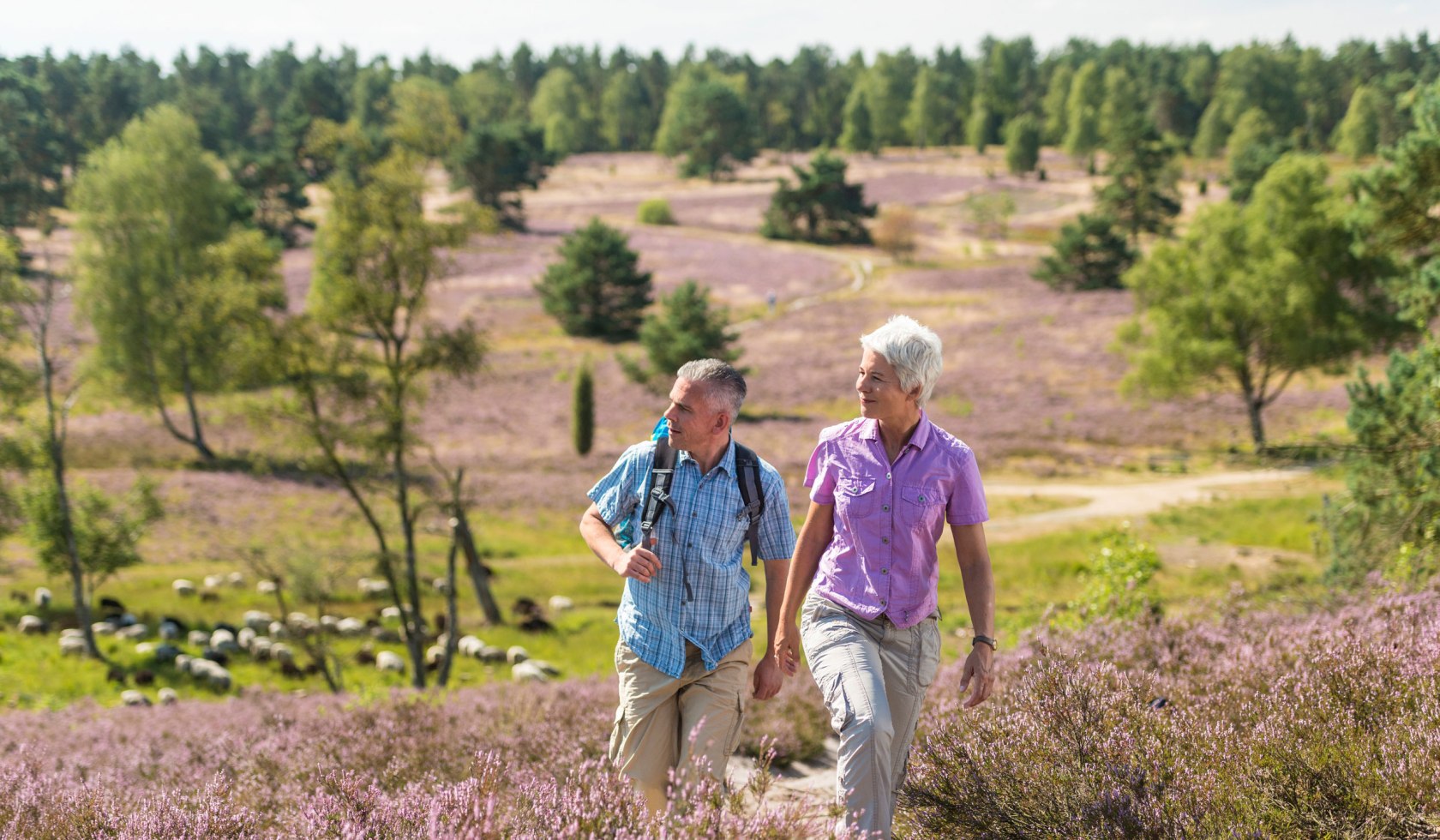 Wandelen, © Lüneburger Heide GmbH / Dominik Ketz