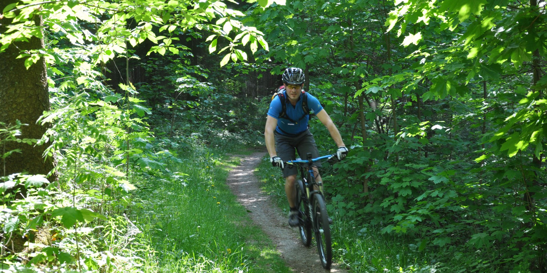 Mountainbikers in Solling-Vogler onderweg, © Solling-Vogler-Region