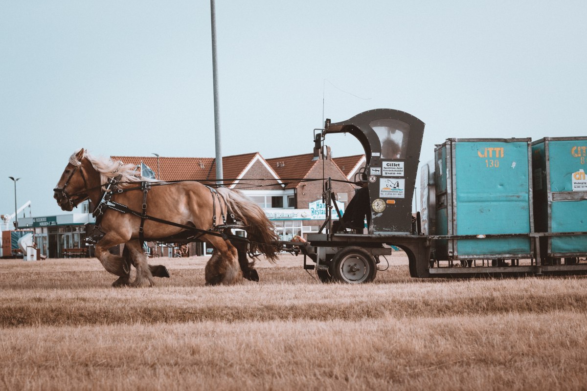 Paarden trekkende trein op Juist Island, © Ibrahim Rifath / unsplash