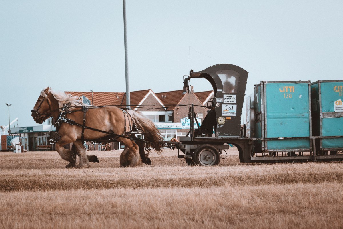 Paarden trekkende trein op Juist Island, © Ibrahim Rifath / unsplash Paarden trekkende trein op Juist Island, © Ibrahim Rifath / unsplash
