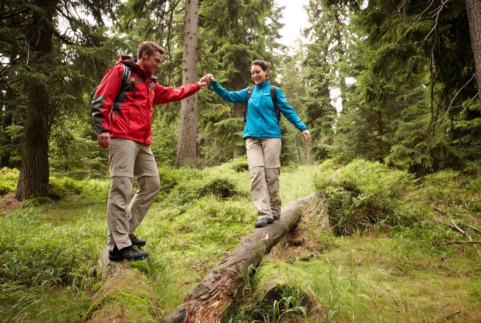 wandelen in de Harz, © Harzer Tourismusverband / Marcus Gloger