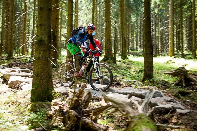 Mountainbiker rijden over een moeilijk parcours in het Hahnenklee Bike Park, © Board 'n Bikes