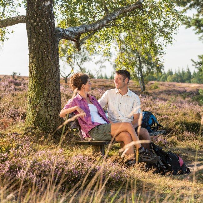 Brunsberg, © Lüneburger Heide GmbH / Dominik Ketz