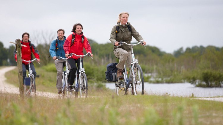 fietsers, © Emsland Touristik / Marcus Gloger