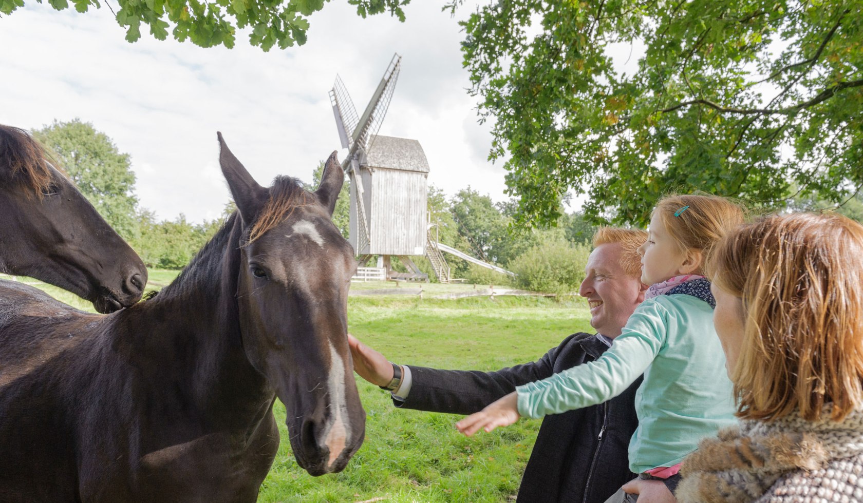 Zeer populair: het regionale paardenras "Alt Oldenburger", © Michael Stephan/ Museumsdorf Cloppenburg