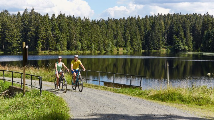 Mountainbikers bij de Fortuner-vijver, © Harzer Tourismusverband / Marcus Gloger Mountainbikers bij de Fortuner-vijver, © Harzer Tourismusverband / Marcus Gloger