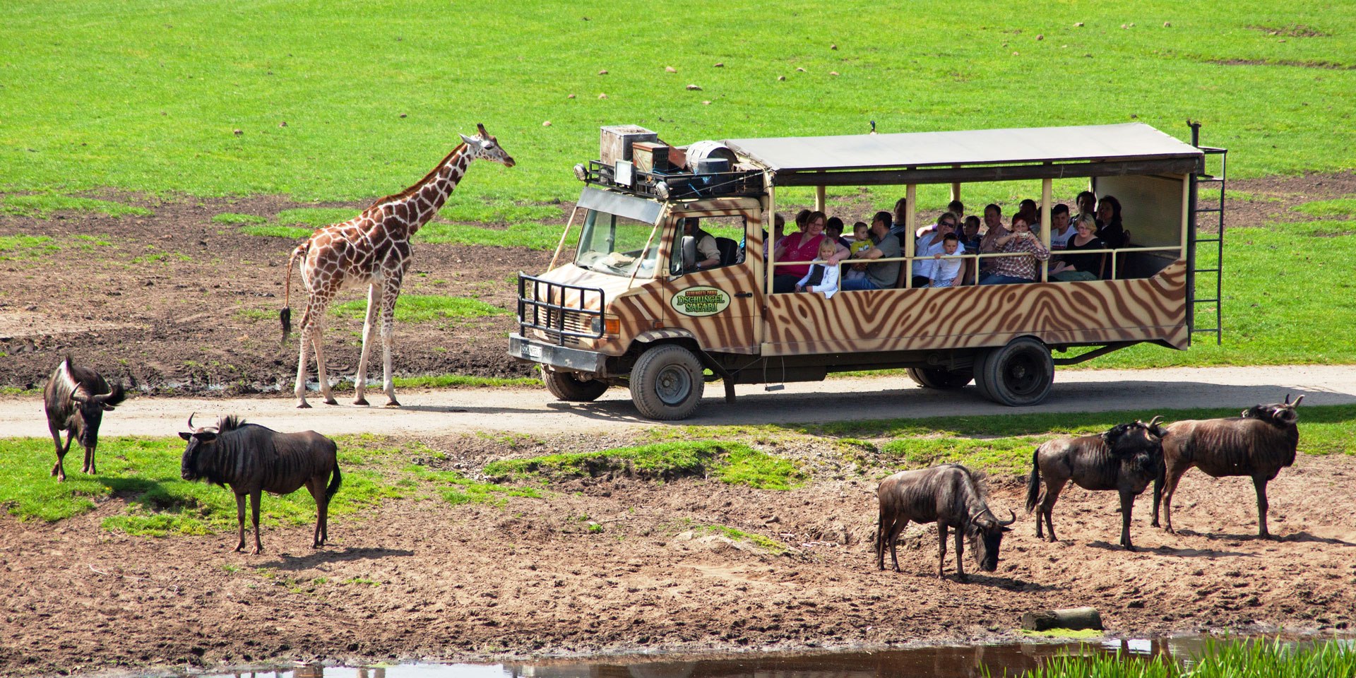 jungle safari, © Serengeti-Park Hodenhagen GmbH