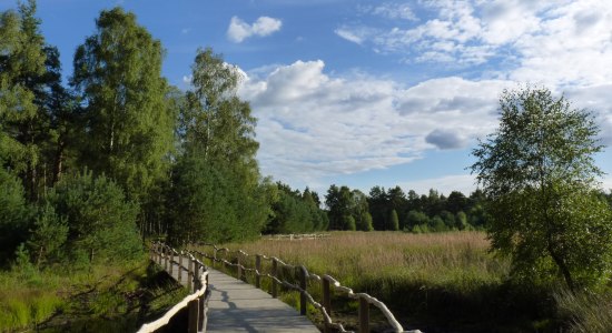 Voetgangersbrug door de Dör't Moor, © Touristikverband Landkreis Rotenburg (Wümme)