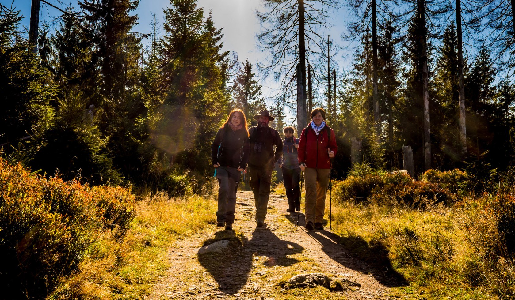 wandelen in de Nationaal park Harz, © Nationalpark Harz / dietrichkuehne.com