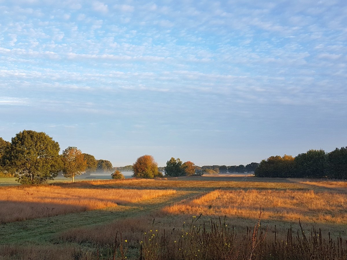 Nordpfad goedemorgen, © TourismusMarketing Niedersachsen GmbH/Wanda Catsman