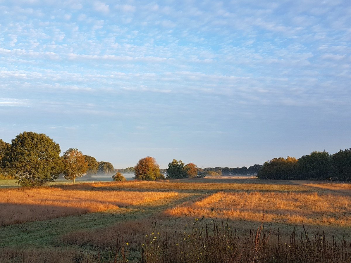 Nordpfad goedemorgen, © TourismusMarketing Niedersachsen GmbH/Wanda Catsman