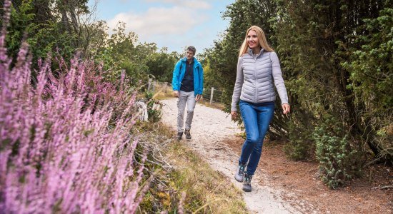 Natuurpark Tillenberg, © TourismusMarketing Niedersachsen GmbH / Markus Tiemann