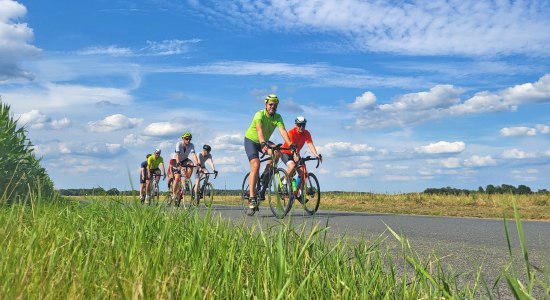 Racefietser rijdt, © Touristikverband LK ROW, Lizenz CC BY SA