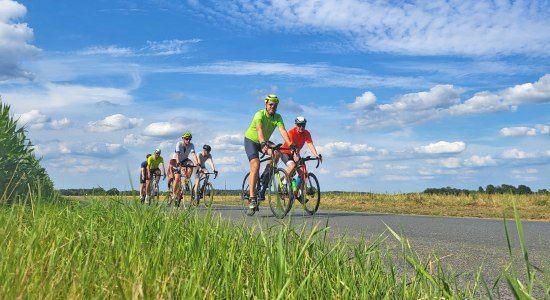 Racefietser rijdt, © Touristikverband LK ROW, Lizenz CC BY SA