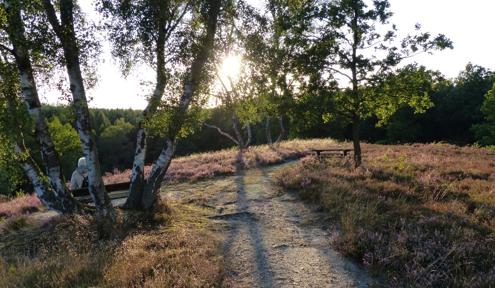 Jacobusweg Lüneburger Heide, © Naturpark Lüneburger Heide