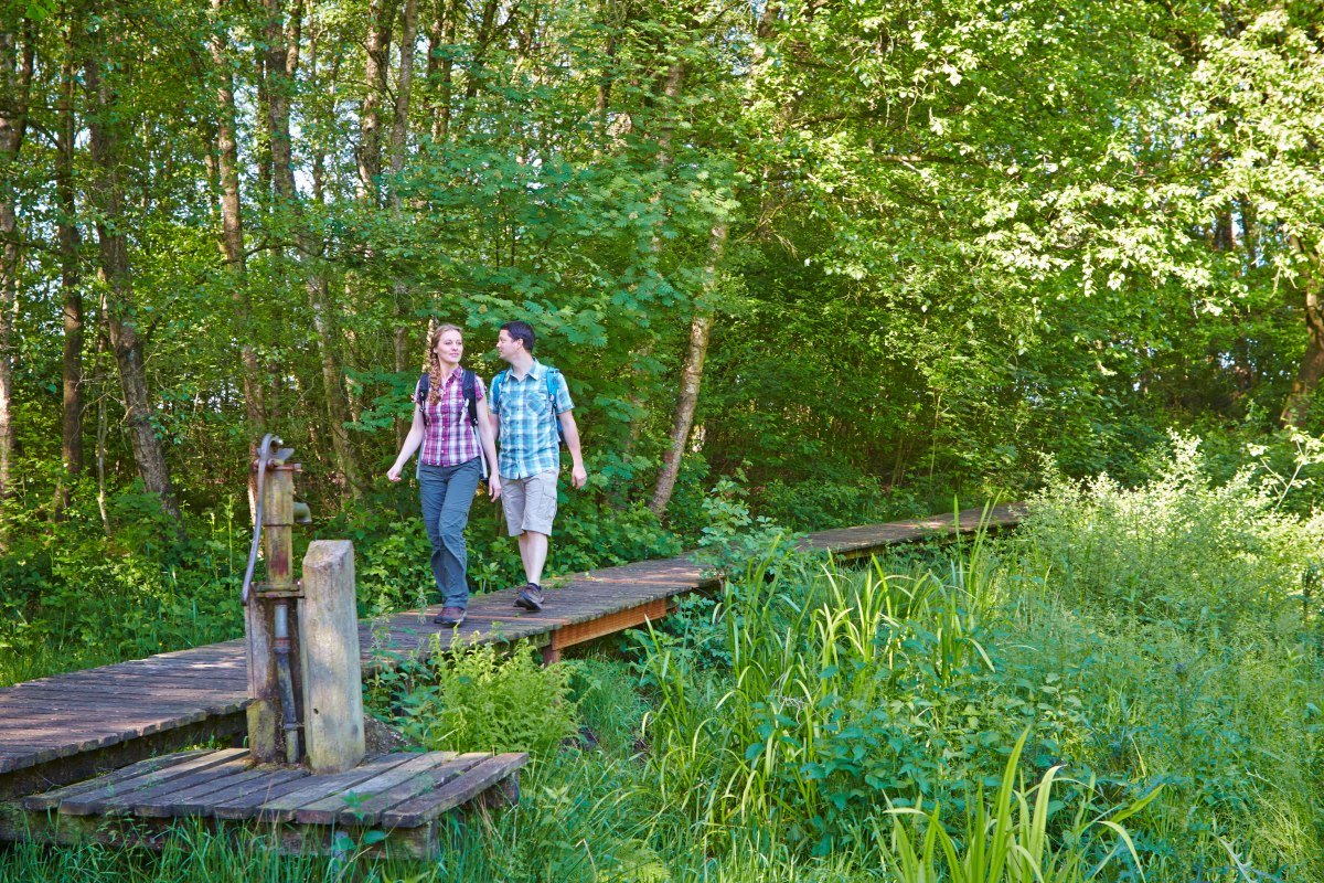 Wandelen in de provincie Bentheim NL, © Grafschaft Bentheim / Schubert