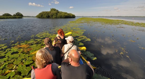 Kanovaren op de Dümmer, © DümmerWeserLand-Touristik/ Oliver Lange