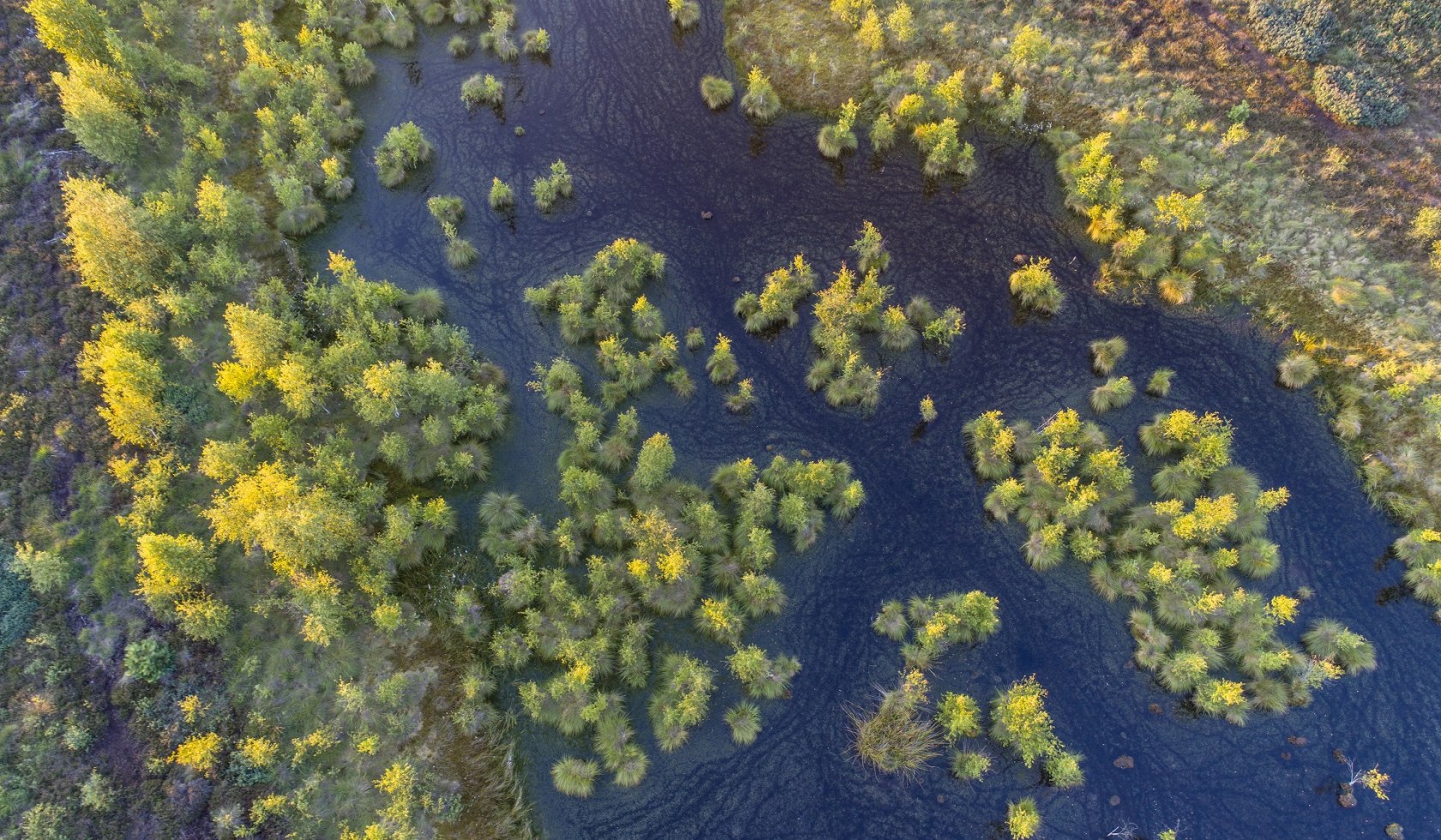 Luchtfoto van Neustädter Moor bij Wagenfeld met bomen en wateroppervlakken , © TourismusMarketing Niedersachsen GmbH / Willi Rolfes