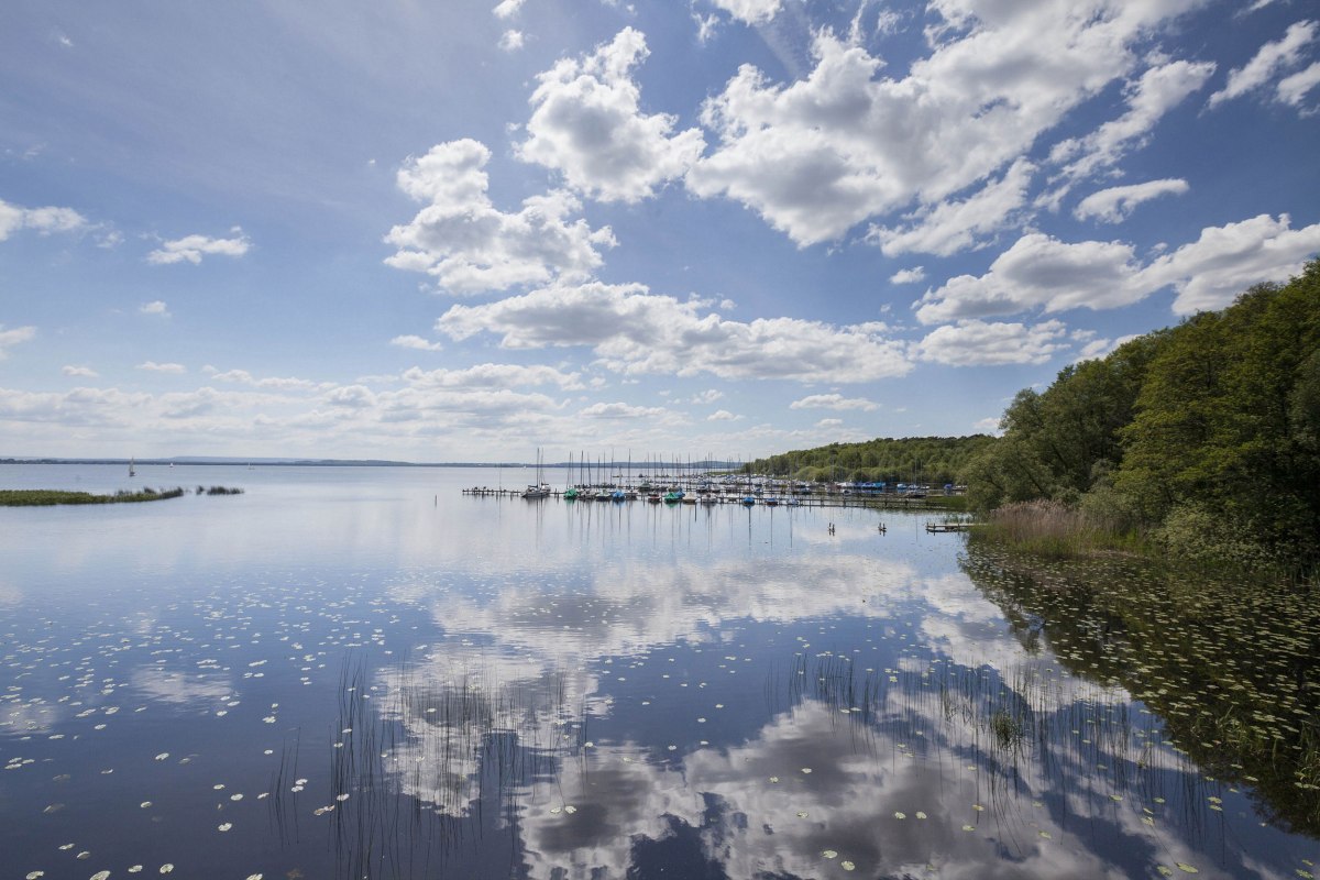 Gezicht op het Steinhuder Meer, rechts zeilboten aan de ligplaatsen, © Naturpark Steinhuder Meer, Region Hannover/ Claus Kirsch