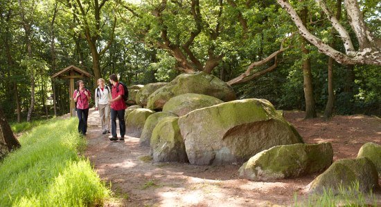 Hümmling, © Emsland Touristik