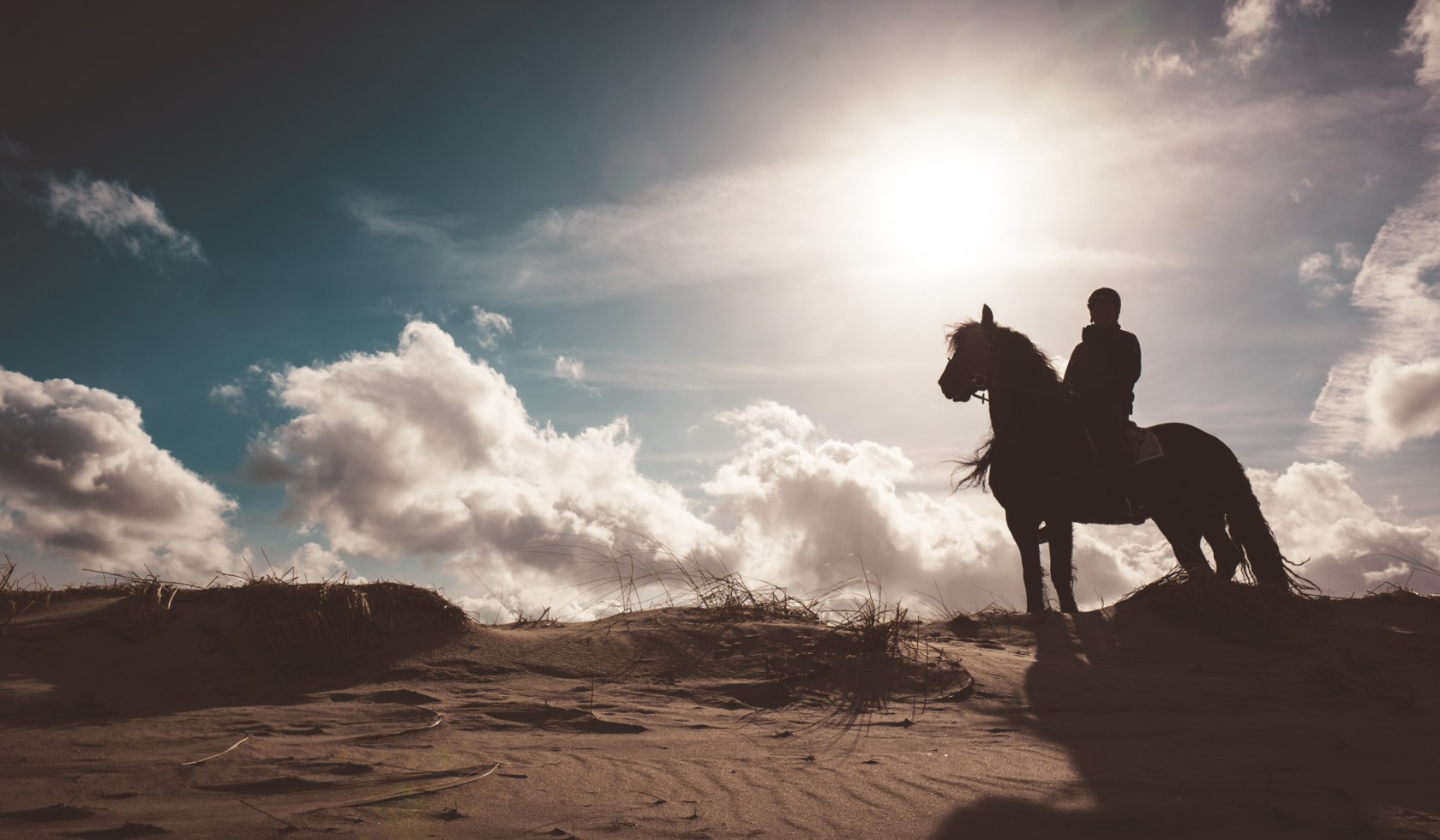 Paard en ruiter, © Luv &amp; Lü / Tom Tautz