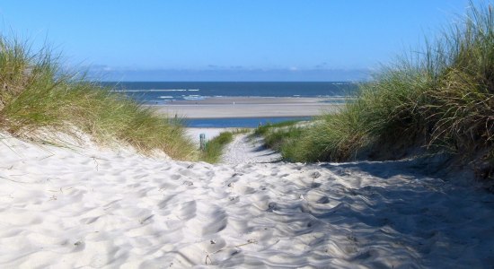 Baltrum-strand, © Ostfriesland Tourismus GmbH