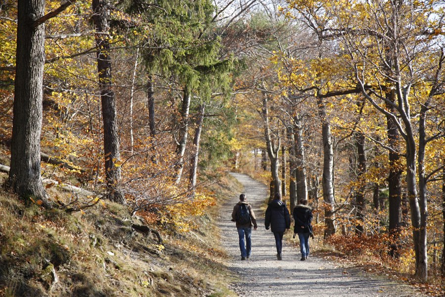 Wandelen in de Harz, © TMN / Peter Hamel