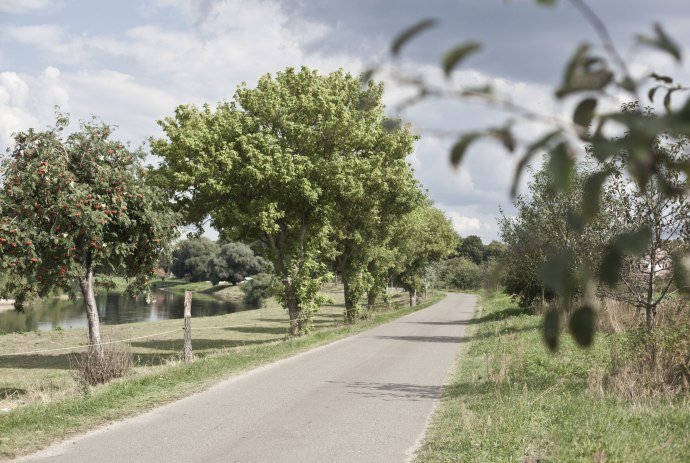 Aller-Radweg, © Tourismusregion Aller-Leine-Tal / Mirko Krenzel