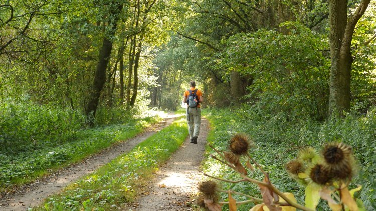 Wanderer auf dem Nordpfad, © touristikverband Landkreis Rotenburg (Wümme)
