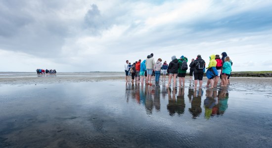 Wadlopen, © Kurverwaltung Wangerooge/ Kees van Surksum