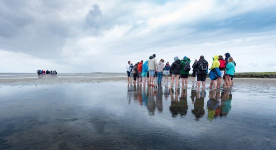 Wadlopen, © Kurverwaltung Wangerooge/ Kees van Surksum