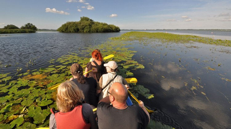 Kanovaren op de Dümmer, © DümmerWeserLand-Touristik/ Oliver Lange